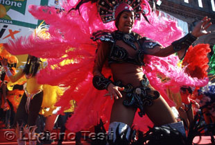 Brasiliana della scuola di samba carioca Beja Flor.